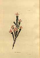  no thumbnail available