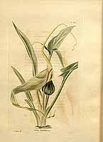  no thumbnail available