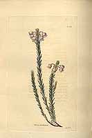  no thumbnail available