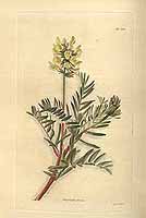  no thumbnail available