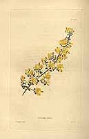  no thumbnail available