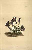  no thumbnail available