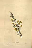  no thumbnail available