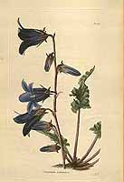  no thumbnail available