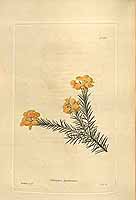  no thumbnail available