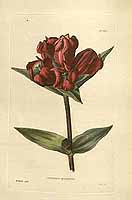  no thumbnail available