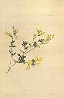  no thumbnail available