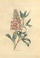  no thumbnail available