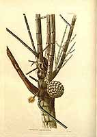  no thumbnail available