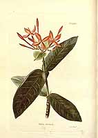  no thumbnail available