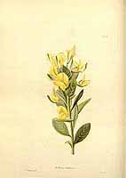  no thumbnail available