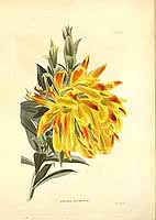  no thumbnail available