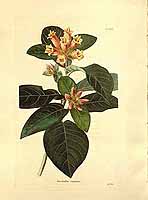  no thumbnail available