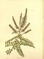  no thumbnail available