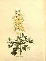  no thumbnail available