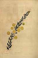  no thumbnail available