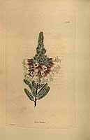  no thumbnail available