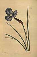  no thumbnail available