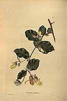  no thumbnail available