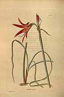  no thumbnail available