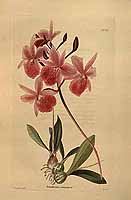  no thumbnail available