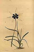  no thumbnail available