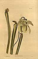  no thumbnail available