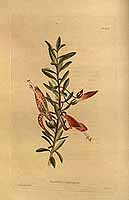  no thumbnail available