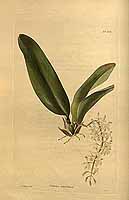  no thumbnail available