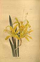  no thumbnail available