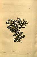  no thumbnail available