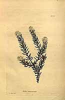  no thumbnail available