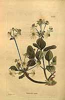  no thumbnail available