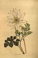  no thumbnail available