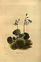  no thumbnail available