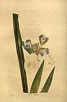  no thumbnail available