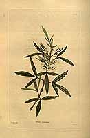  no thumbnail available