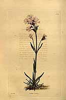  no thumbnail available