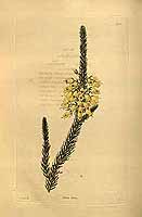  no thumbnail available