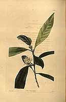  no thumbnail available