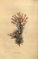  no thumbnail available