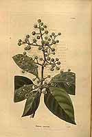  no thumbnail available