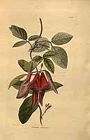  no thumbnail available