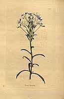  no thumbnail available