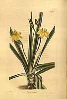  no thumbnail available