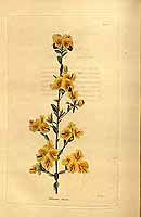  no thumbnail available