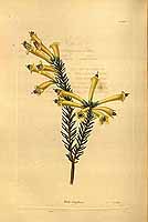  no thumbnail available