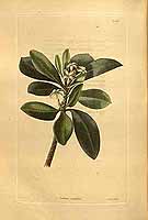  no thumbnail available