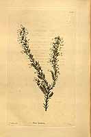  no thumbnail available