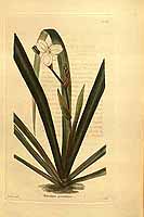  no thumbnail available